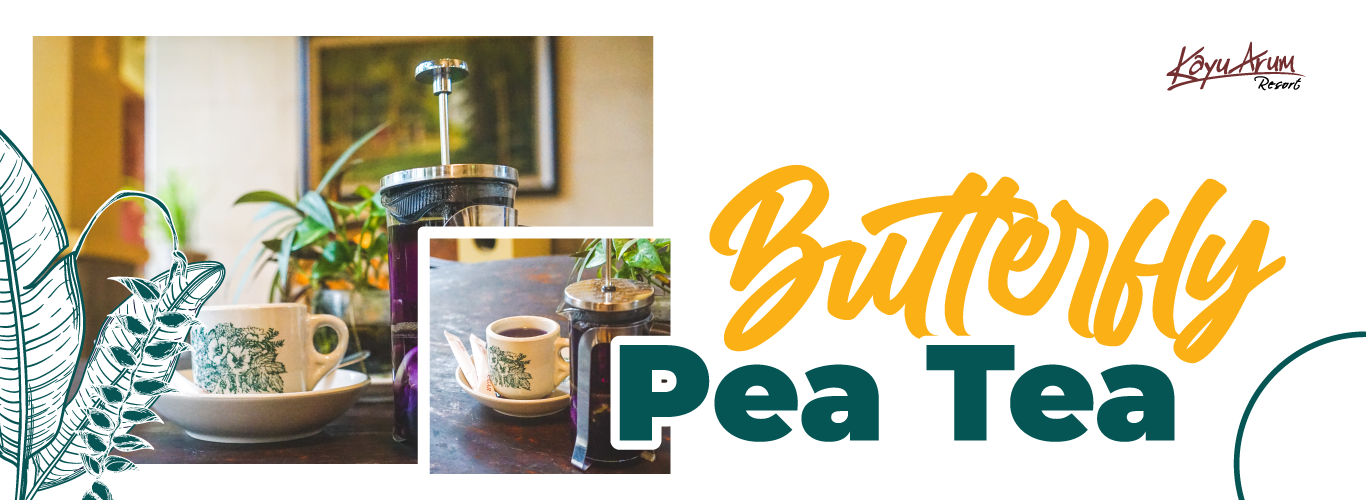 Butterfly Pea Tea